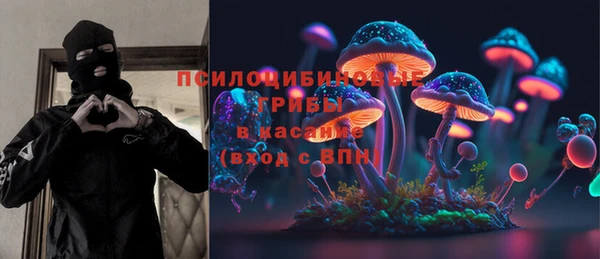 твердый Лабытнанги