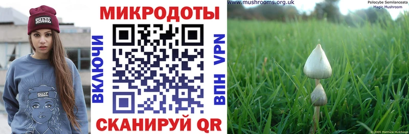 Галлюциногенные грибы Magic Shrooms hydra ONION Новый Оскол купить наркотик